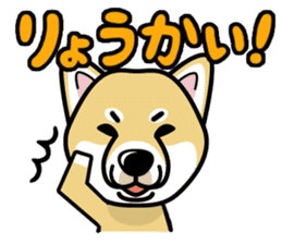 iinu - Shiba sticker #1854491