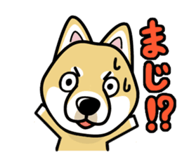 iinu - Shiba sticker #1854492
