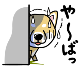 iinu - Shiba sticker #1854494