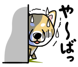iinu - Shiba sticker #1854494