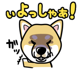 iinu - Shiba sticker #1854498