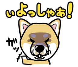 iinu - Shiba sticker #1854498