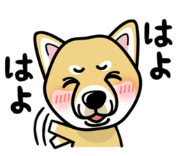iinu - Shiba sticker #1854499