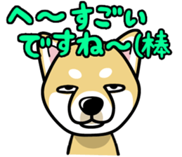 iinu - Shiba sticker #1854500