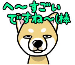 iinu - Shiba sticker #1854500