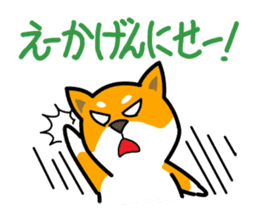 Dogs of the Kansai dialect sticker #1854589