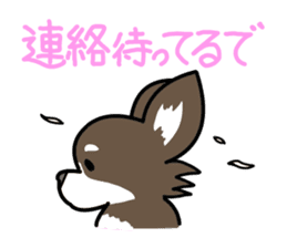 Dogs of the Kansai dialect sticker #1854604