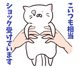 It's all cat's fault sticker #1854672