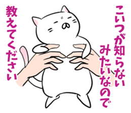 It's all cat's fault sticker #1854675