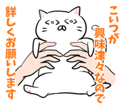 It's all cat's fault sticker #1854676