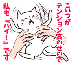 It's all cat's fault sticker #1854683