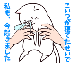 It's all cat's fault sticker #1854691