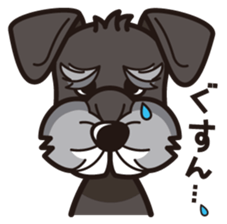 iinu - Miniature Schnauzer sticker #1854741