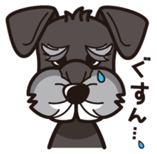 iinu - Miniature Schnauzer sticker #1854741