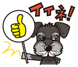 iinu - Miniature Schnauzer sticker #1854743