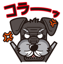 iinu - Miniature Schnauzer sticker #1854746