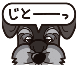 iinu - Miniature Schnauzer sticker #1854750