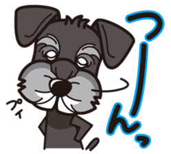 iinu - Miniature Schnauzer sticker #1854752