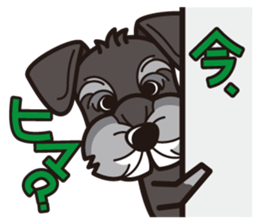 iinu - Miniature Schnauzer sticker #1854762