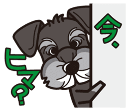 iinu - Miniature Schnauzer sticker #1854762