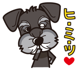 iinu - Miniature Schnauzer sticker #1854763