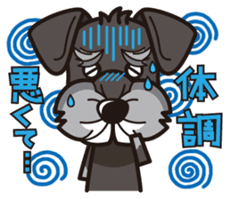 iinu - Miniature Schnauzer sticker #1854766