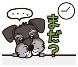 iinu - Miniature Schnauzer sticker #1854771