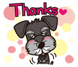 iinu - Miniature Schnauzer sticker #1854773