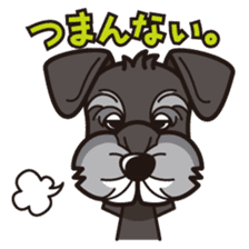 iinu - Miniature Schnauzer sticker #1854774