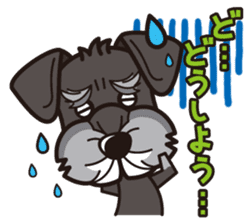 iinu - Miniature Schnauzer sticker #1854775