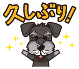 iinu - Miniature Schnauzer sticker #1854776
