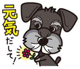 iinu - Miniature Schnauzer sticker #1854777