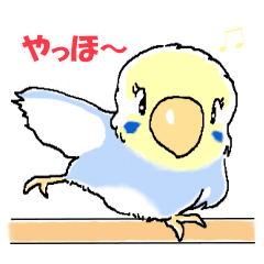 Peesuke of the budgerigar