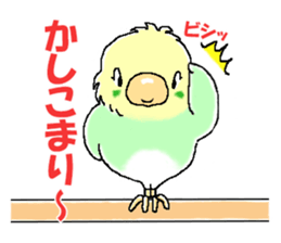 Peesuke of the budgerigar sticker #1854903