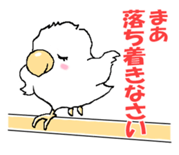Peesuke of the budgerigar sticker #1854908