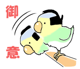 Peesuke of the budgerigar sticker #1854914