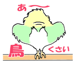 Peesuke of the budgerigar sticker #1854915