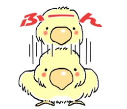 Peesuke of the budgerigar sticker #1854917