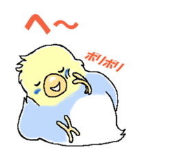 Peesuke of the budgerigar sticker #1854919