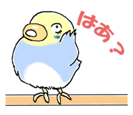 Peesuke of the budgerigar sticker #1854920