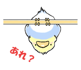 Peesuke of the budgerigar sticker #1854922