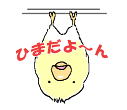 Peesuke of the budgerigar sticker #1854923