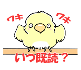 Peesuke of the budgerigar sticker #1854924
