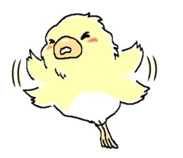 Peesuke of the budgerigar sticker #1854926