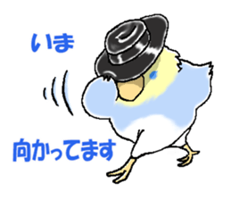 Peesuke of the budgerigar sticker #1854927