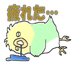 Peesuke of the budgerigar sticker #1854929