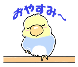 Peesuke of the budgerigar sticker #1854930