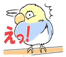 Peesuke of the budgerigar sticker #1854933