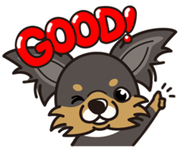 iinu  - Long Coat Chihuahua sticker #1855301