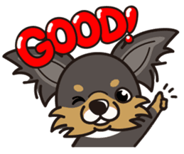 iinu - Long Coat Chihuahua sticker #1855301